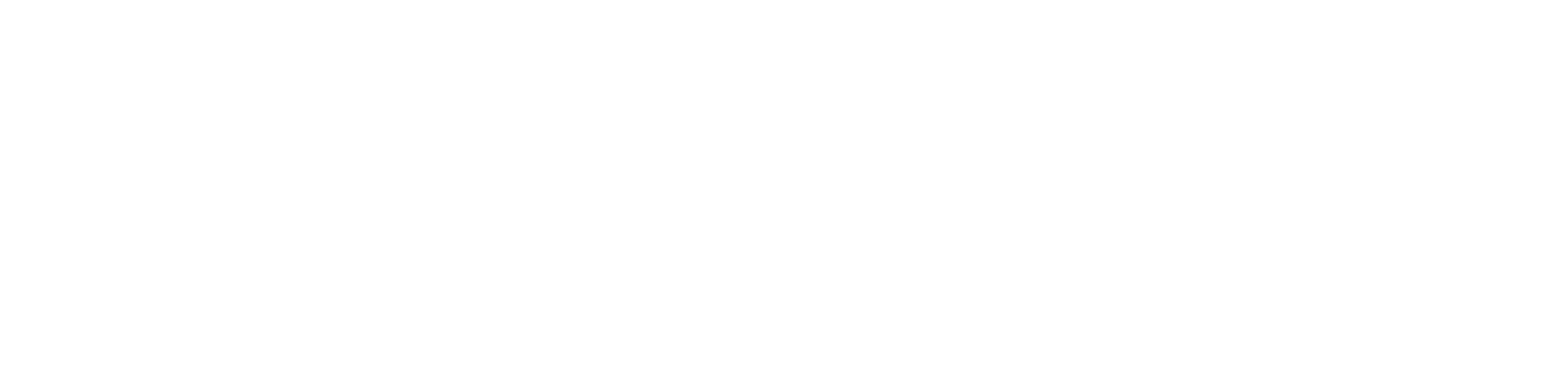 logo de website